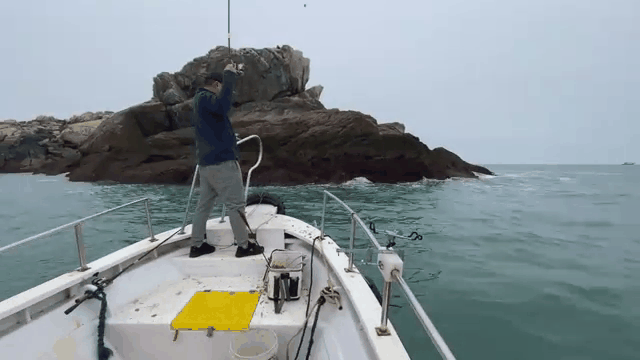 海钓黑雕打窝(海钓黑雕打窝视频)