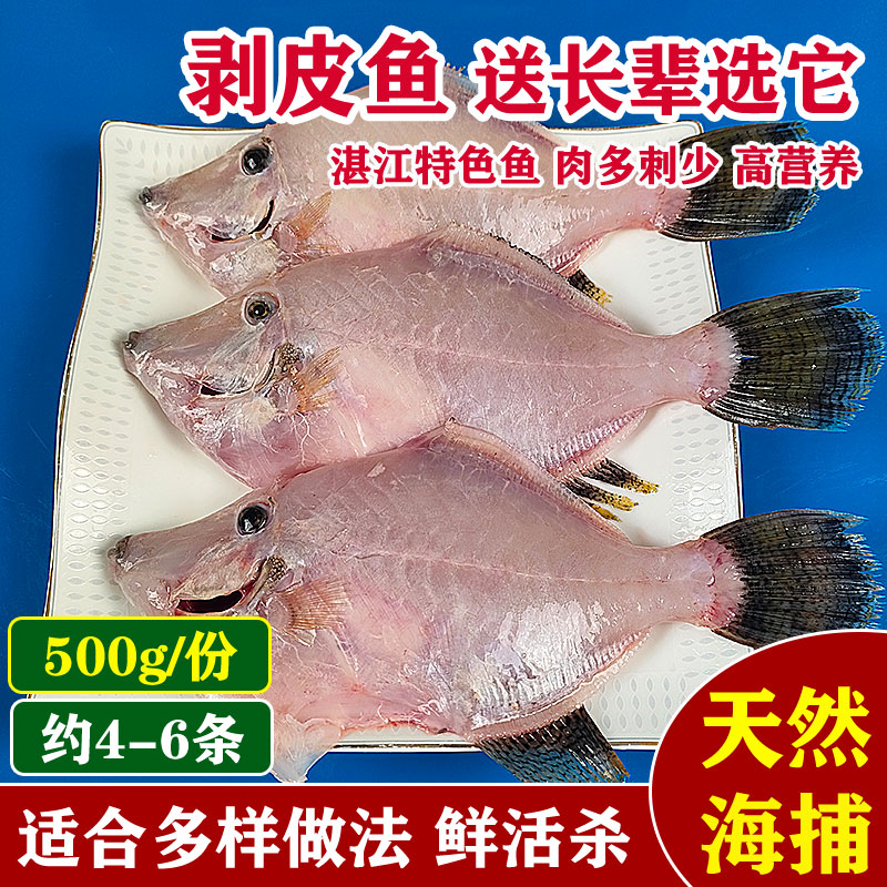 湛江海钓(湛江海钓最好的地方)