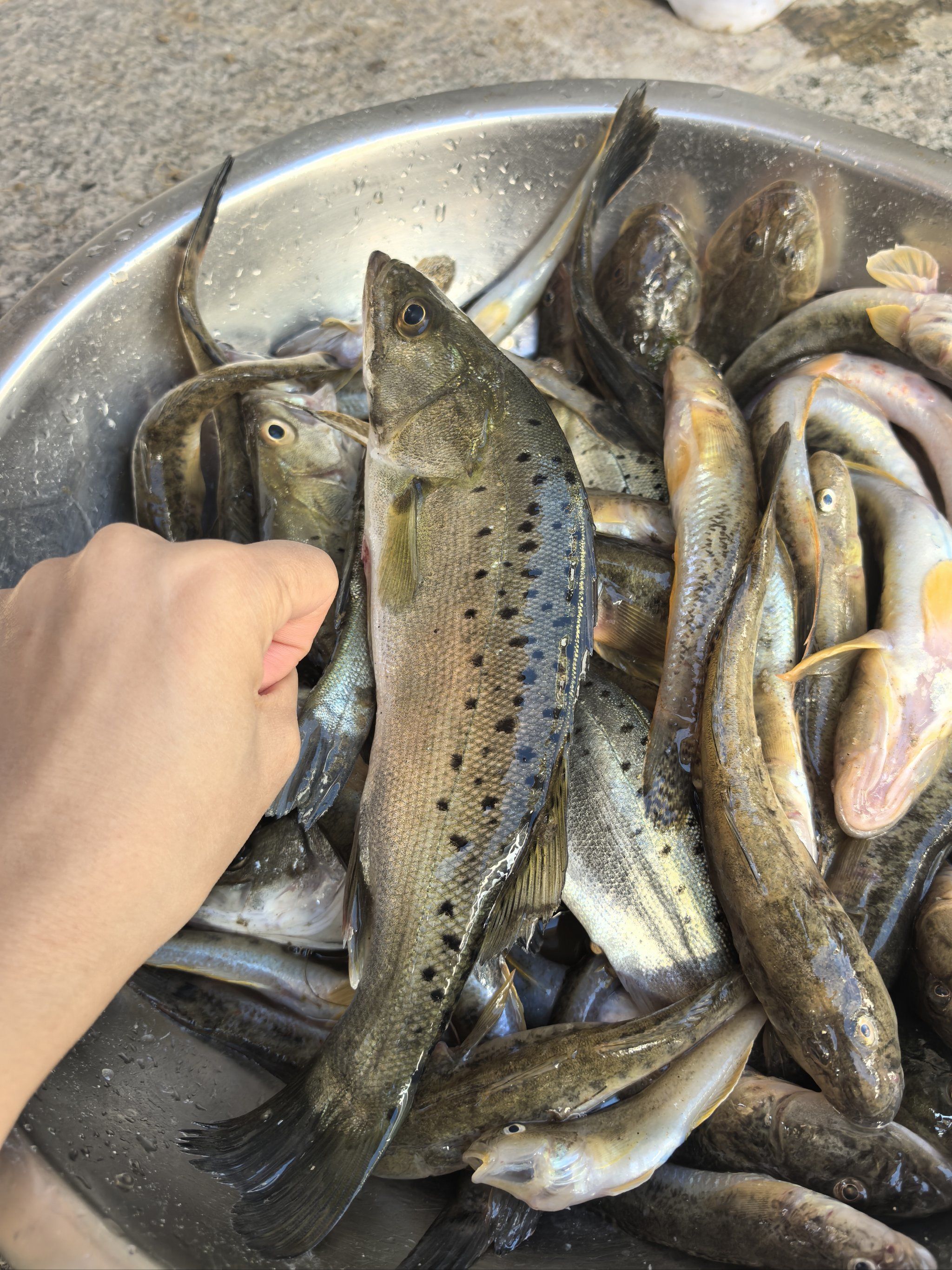曹妃甸海钓配置(曹妃甸海钓鱼地点哪里好)