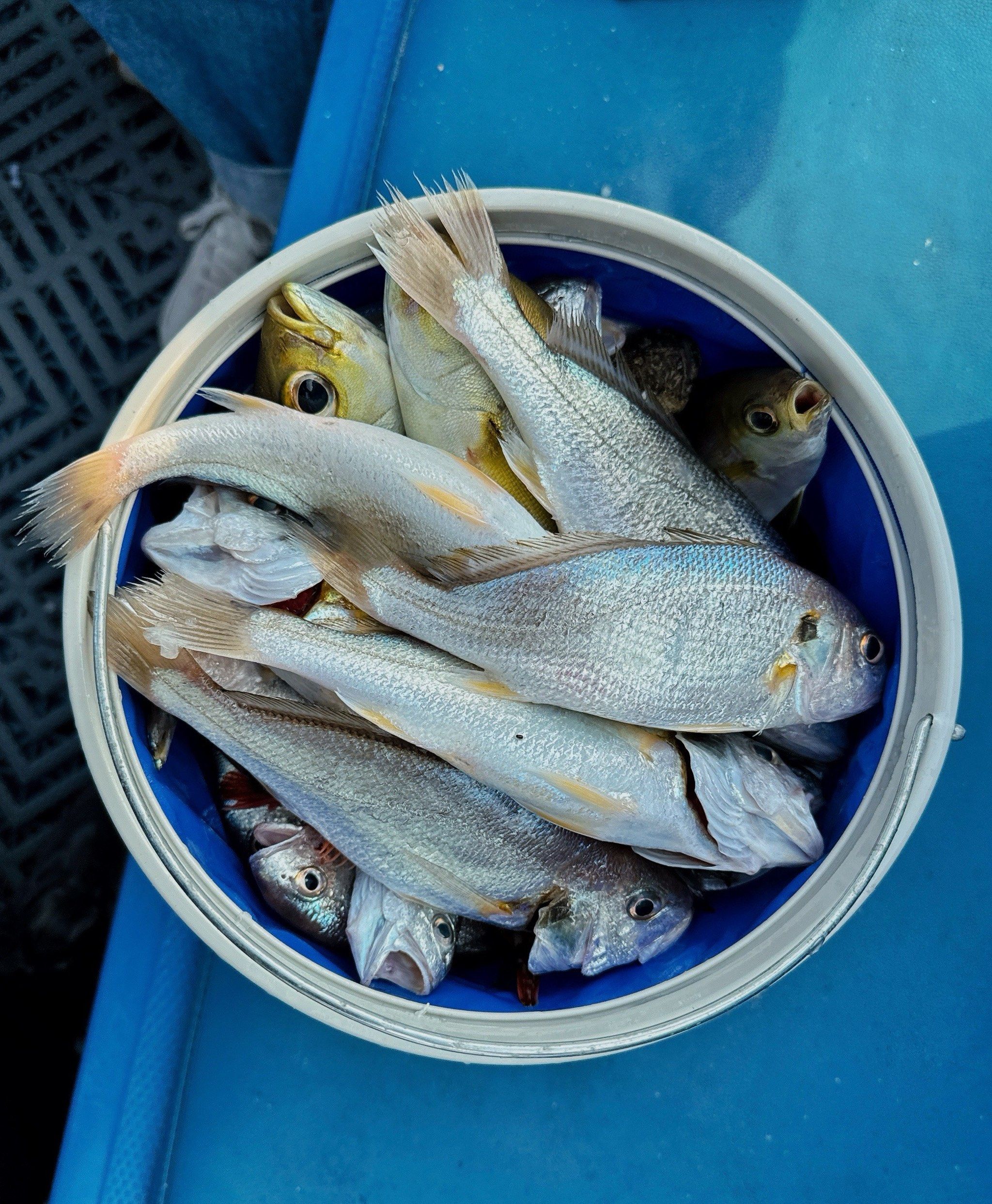 昌黎海钓(昌黎海钓潮汐表查询)