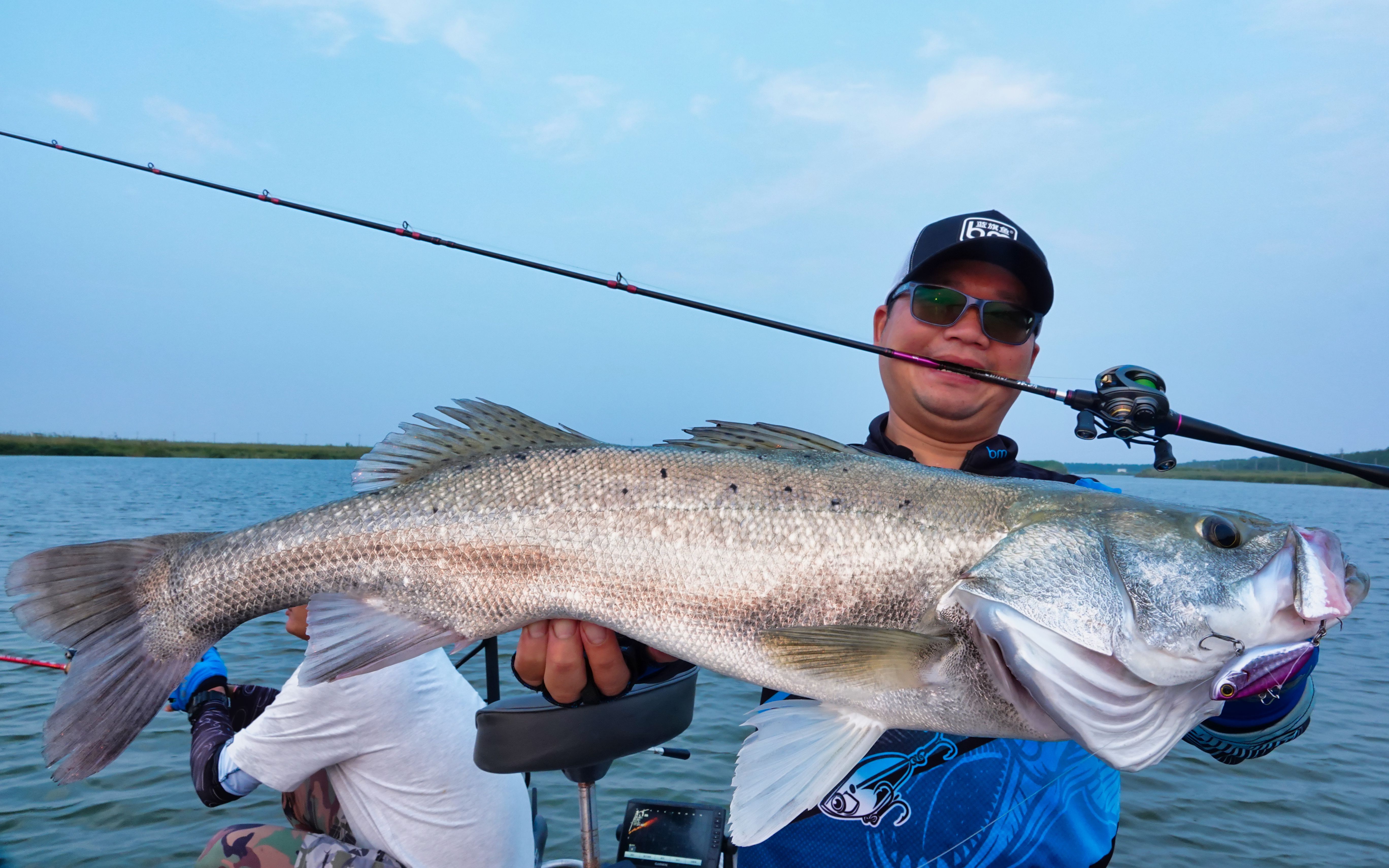 路亚快速搜索(路亚搜索方法)