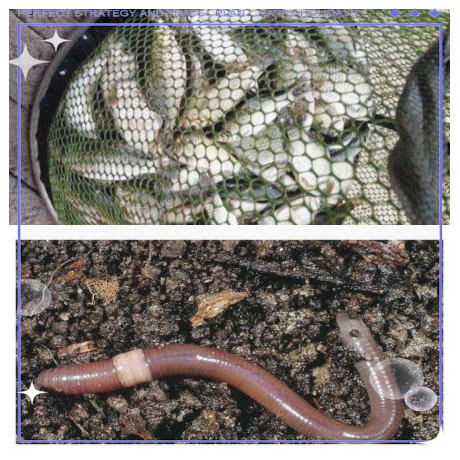 冬天蚯蚓台钓鲫鱼技巧(冬天蚯蚓能钓鲫鱼吗)