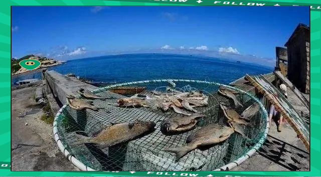 阳江东平海钓群(阳江东平赶海时间) 阳江东平海钓群(阳江东平赶海时间)