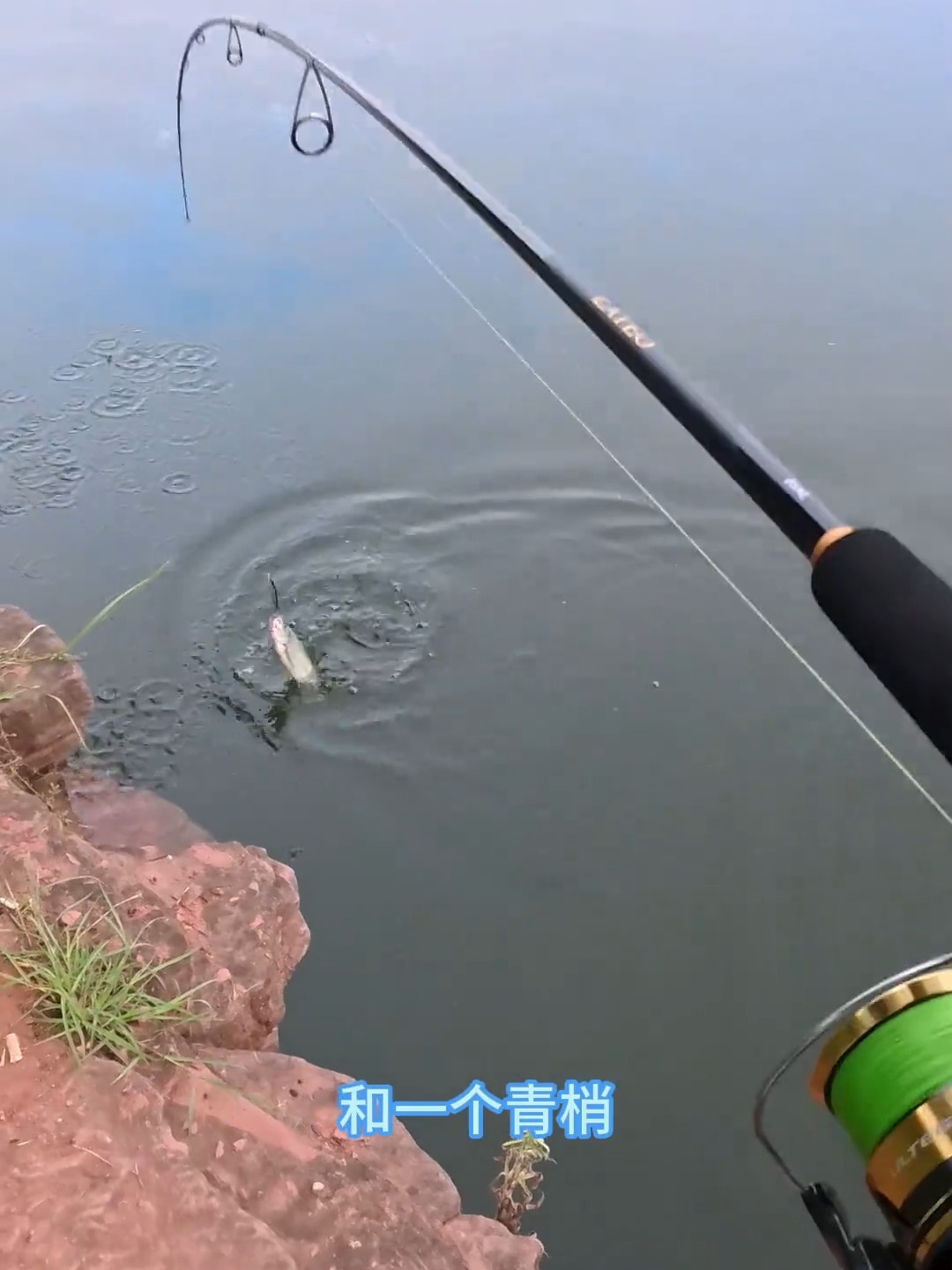 成都冬季路亚标点(四川冬季路亚)