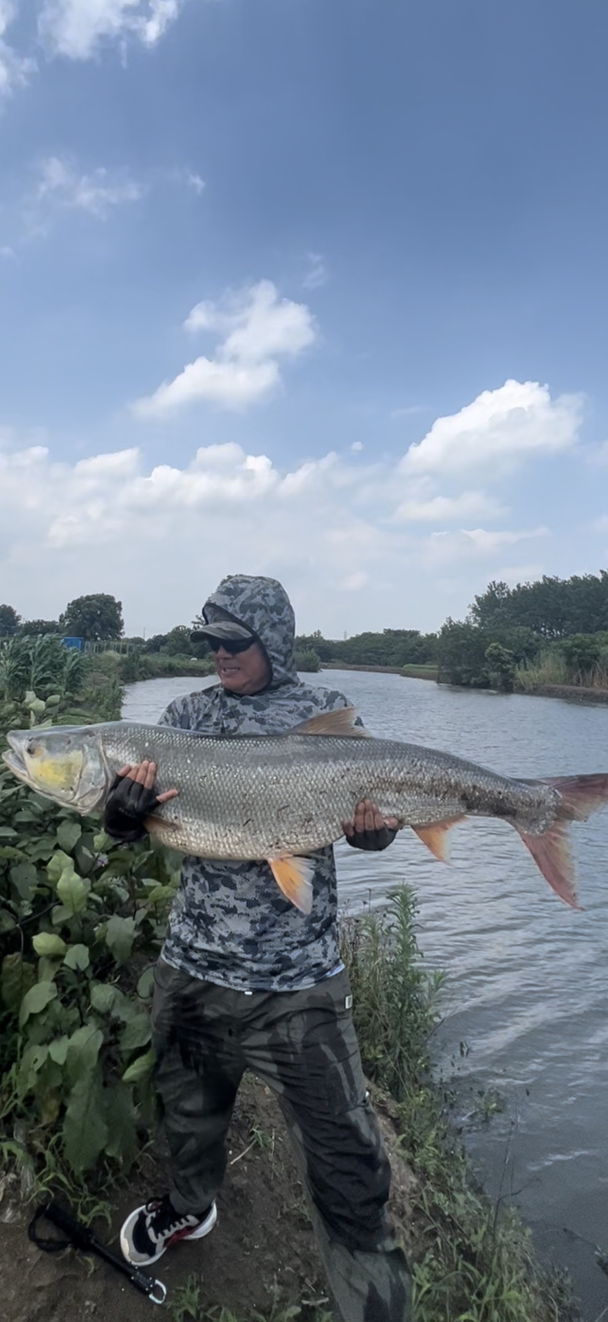 路亚鳡鱼视频一最新(路亚怎么钓鳊鱼教程)