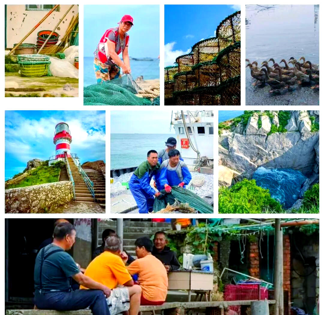 鱼山岛海钓攻略(鱼山岛钓鱼用什么竿)