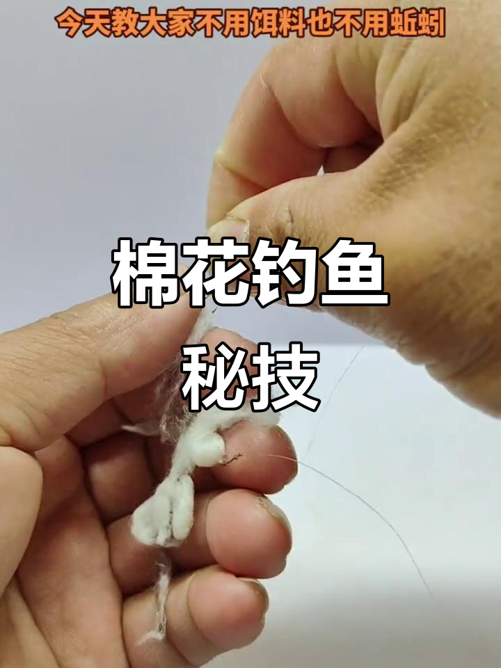 用棉花做饵料(用棉花做饵料可以吗)