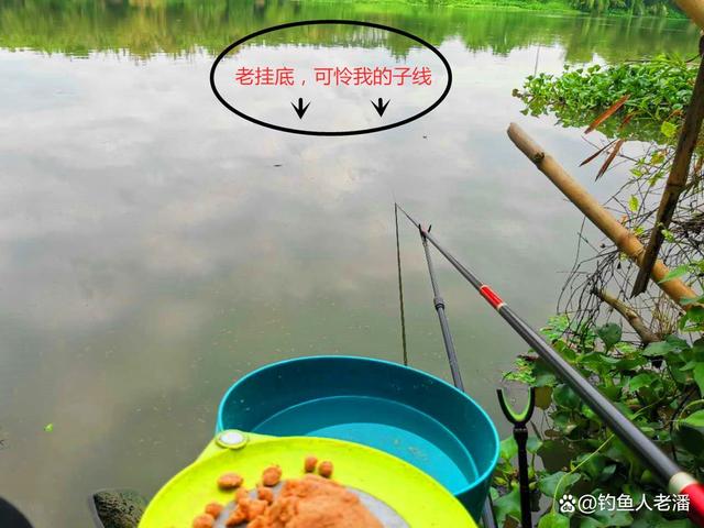 南方野钓打窝技巧(南方野钓鱼料配方大全)