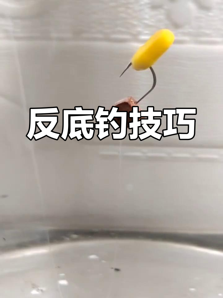 钓鱼技巧沉底钓法(钓鱼技巧沉底钓法图解)