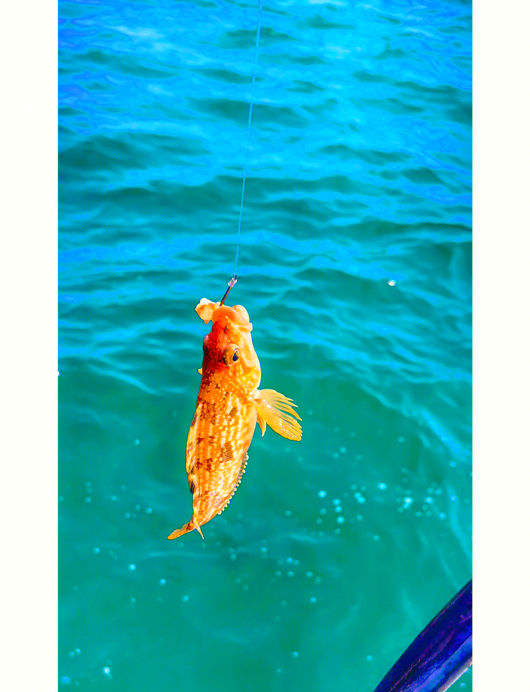 钱塘江海钓视频(钱塘江大潮的视频实拍完整版) 钱塘江海钓视频(钱塘江大潮的视频实拍完整版)