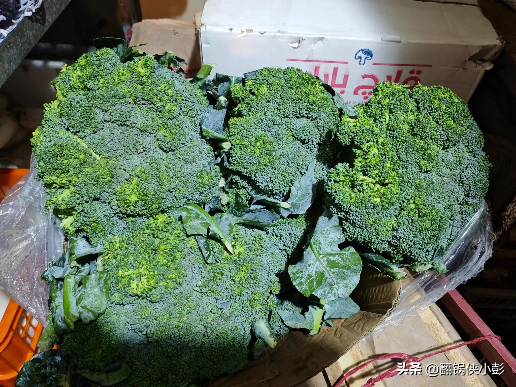 饵料搭配红牛好吗(饵料里加红牛好用吗)