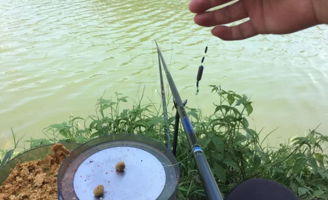 鸡毛做浮漂技巧(鸡毛钓鱼) 鸡毛做浮漂技巧(鸡毛钓鱼)