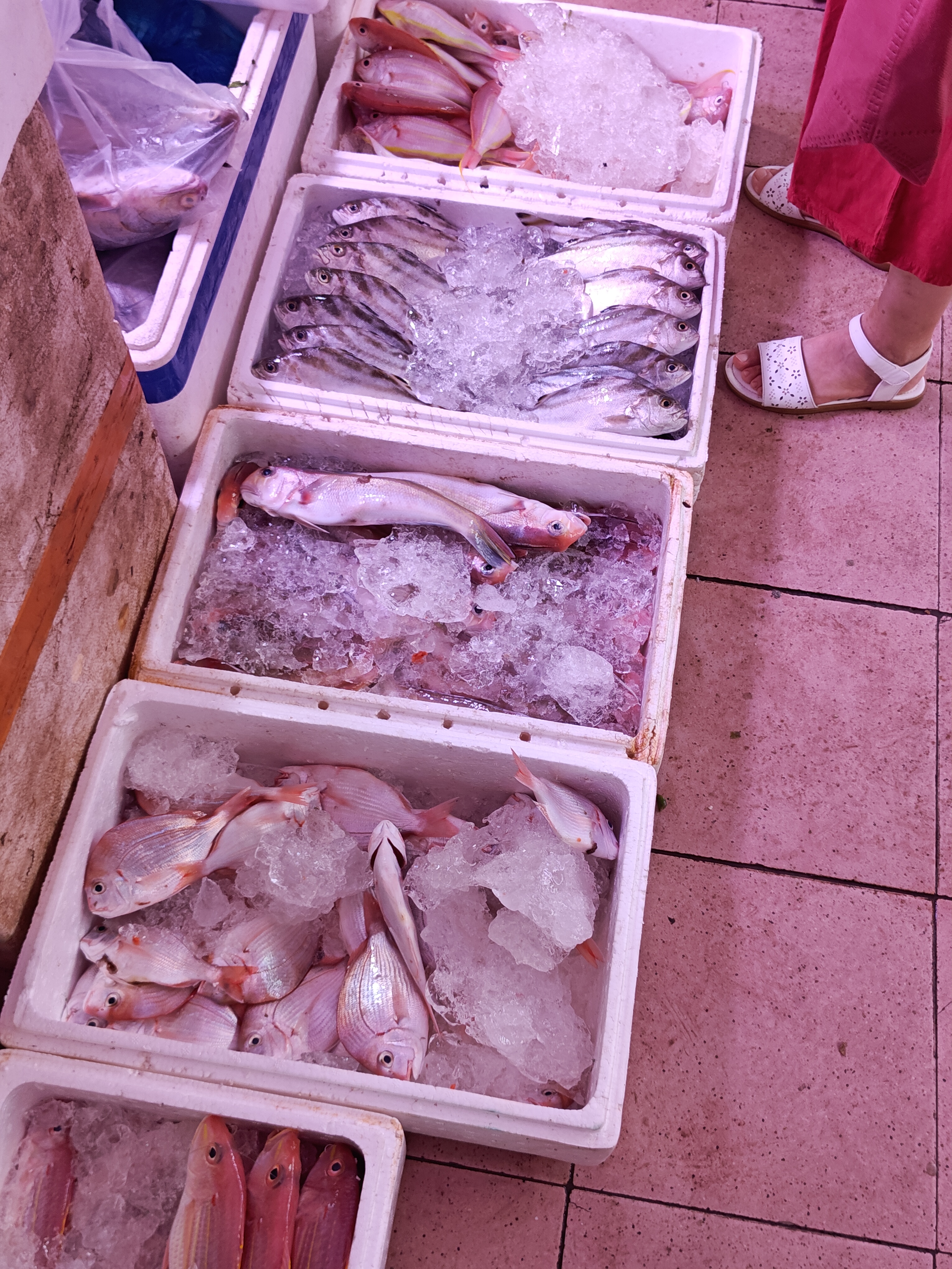 海亮金宝街卖渔具(29元一套渔具) 海亮金宝街卖渔具(29元一套渔具)