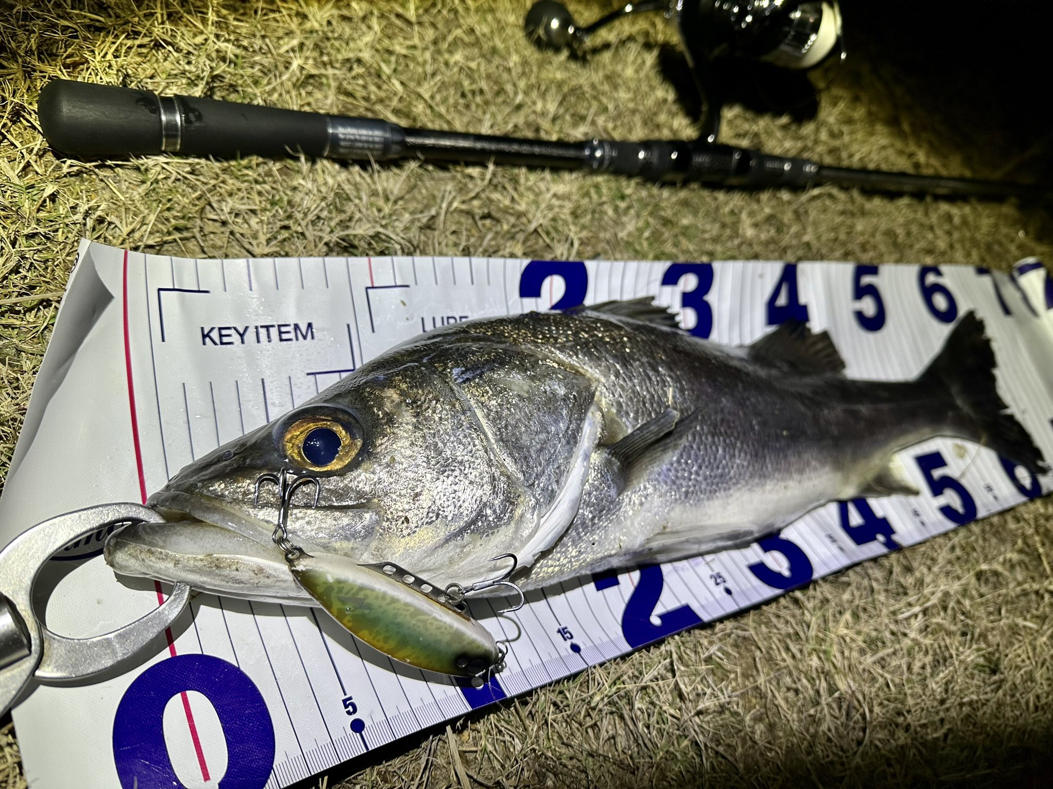 船路亚黑头(路亚鳜鱼四字口诀) 船路亚黑头(路亚鳜鱼四字口诀)