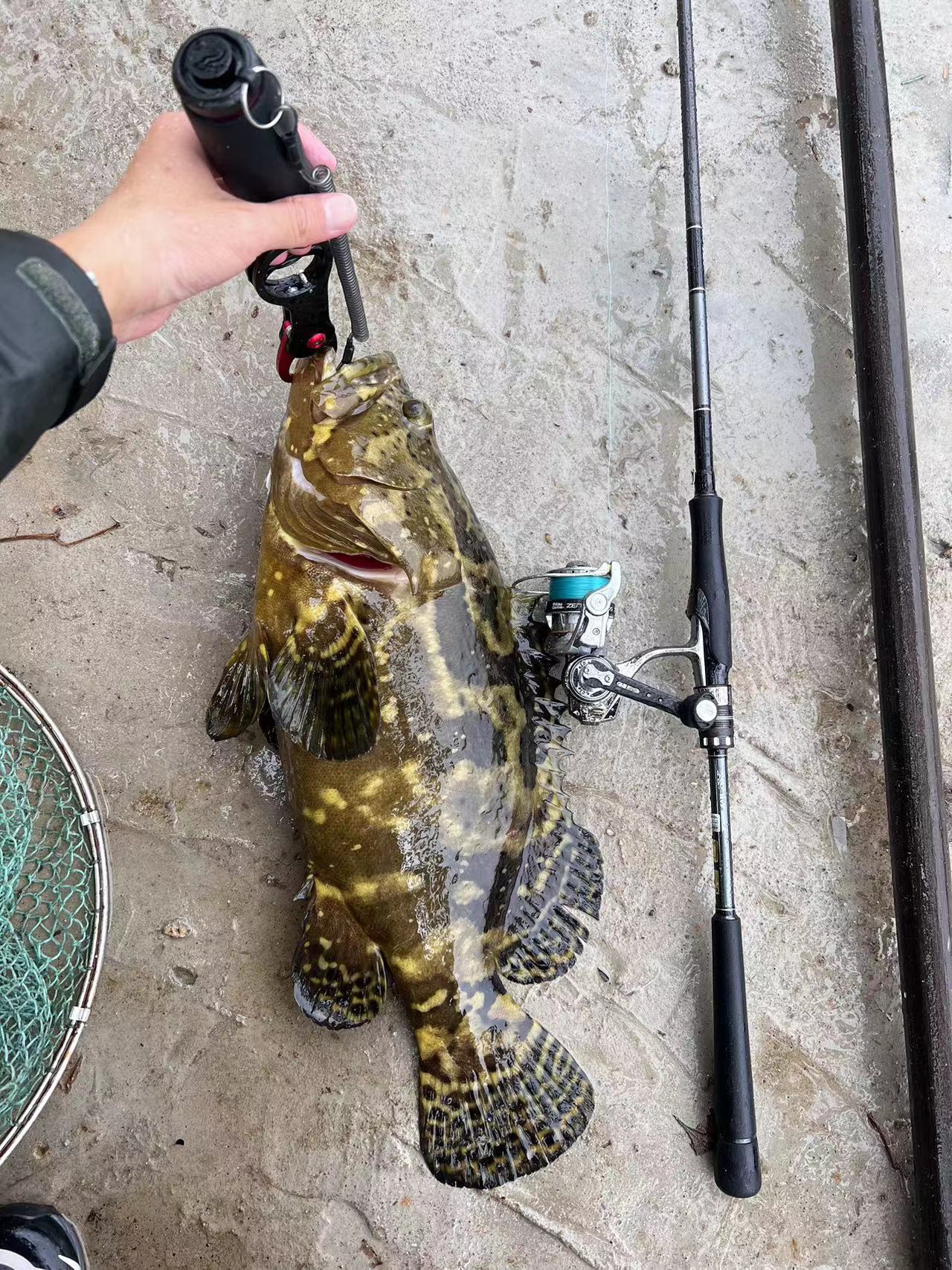 海钓鱼鲯鳅(出海钓鱼捕鱼小说) 海钓鱼鲯鳅(出海钓鱼捕鱼小说)