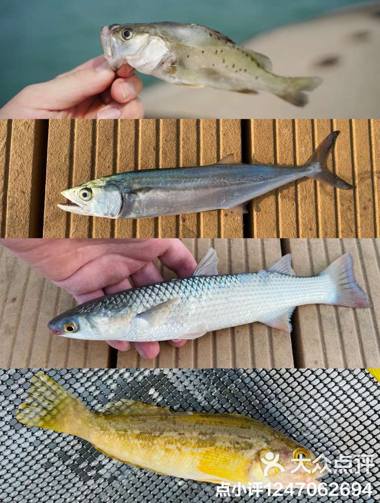 北京周边海钓(北京周边海钓钩黑头黄鱼地方) 北京周边海钓(北京周边海钓钩黑头黄鱼地方)