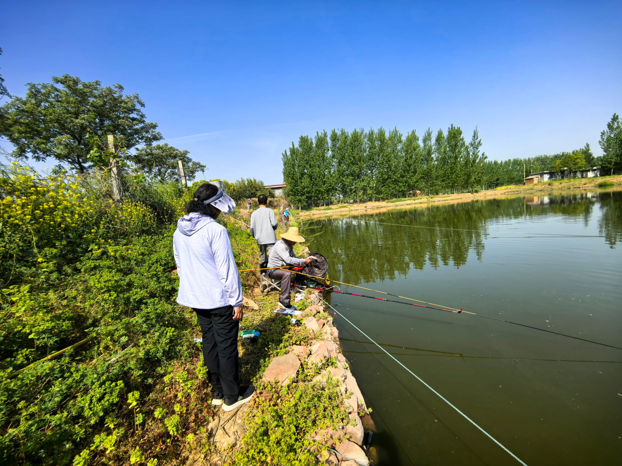 路亚平顶山(西双版纳路亚标点)