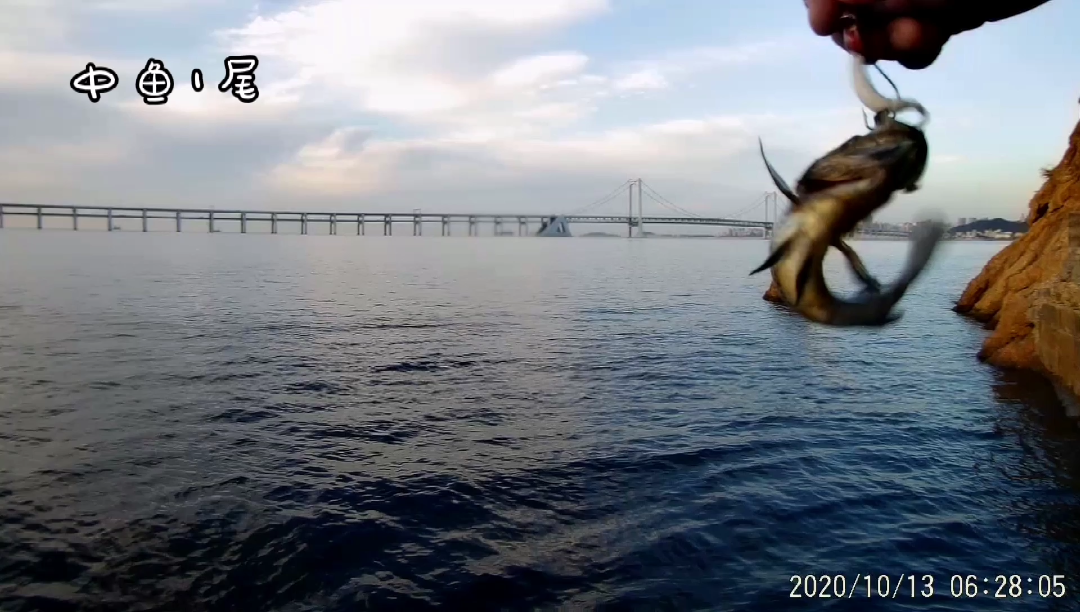 大连海钓天气预报(大连海钓天气预报最新消息) 大连海钓天气预报(大连海钓天气预报最新消息)