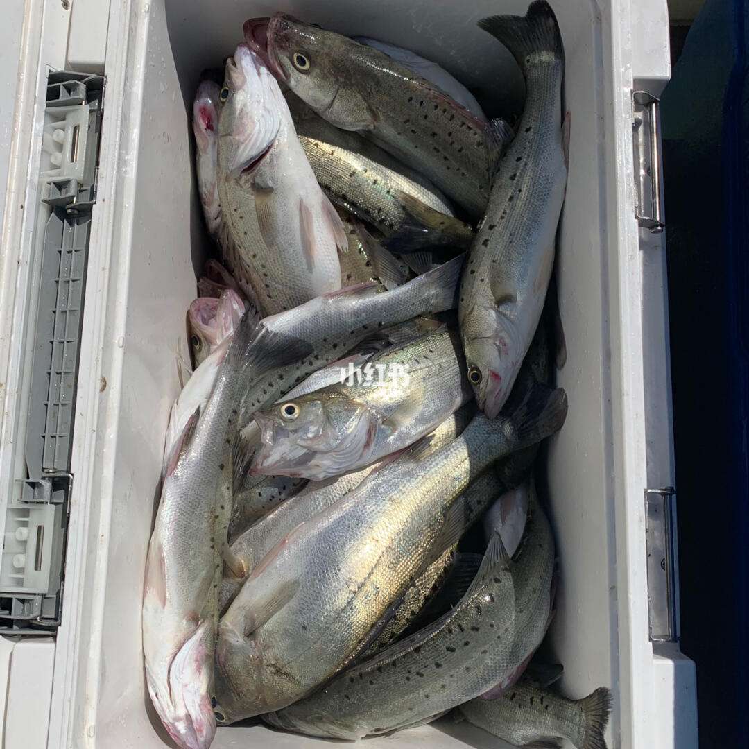 黄骅海钓基地电话(黄骅 海钓) 黄骅海钓基地电话(黄骅 海钓)