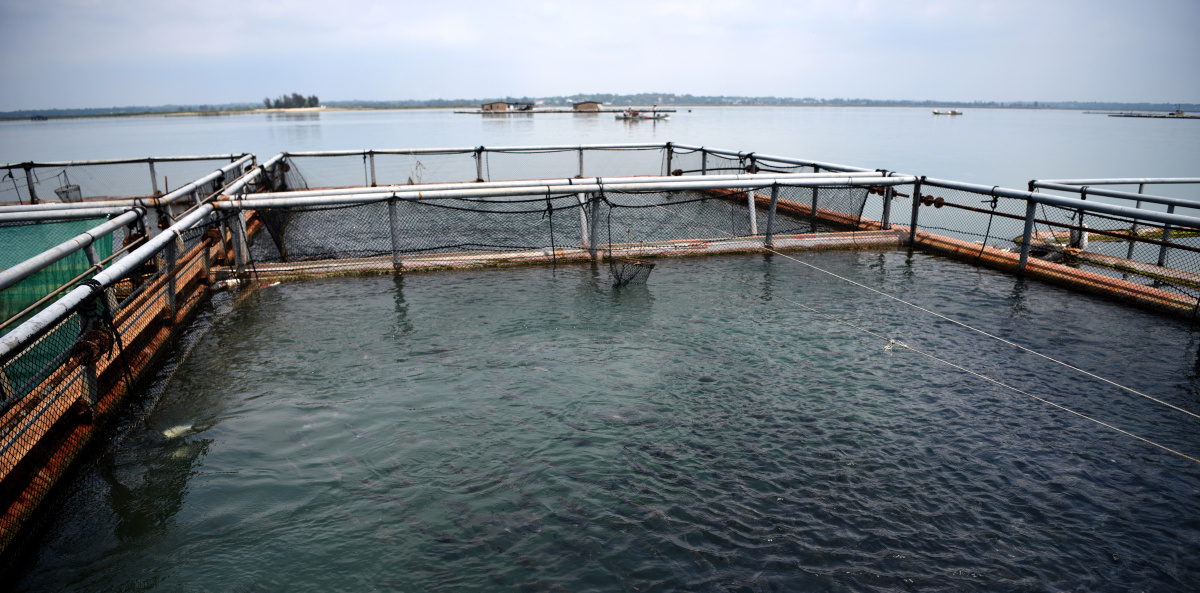 广西海钓地点分布(广西出海钓鱼)