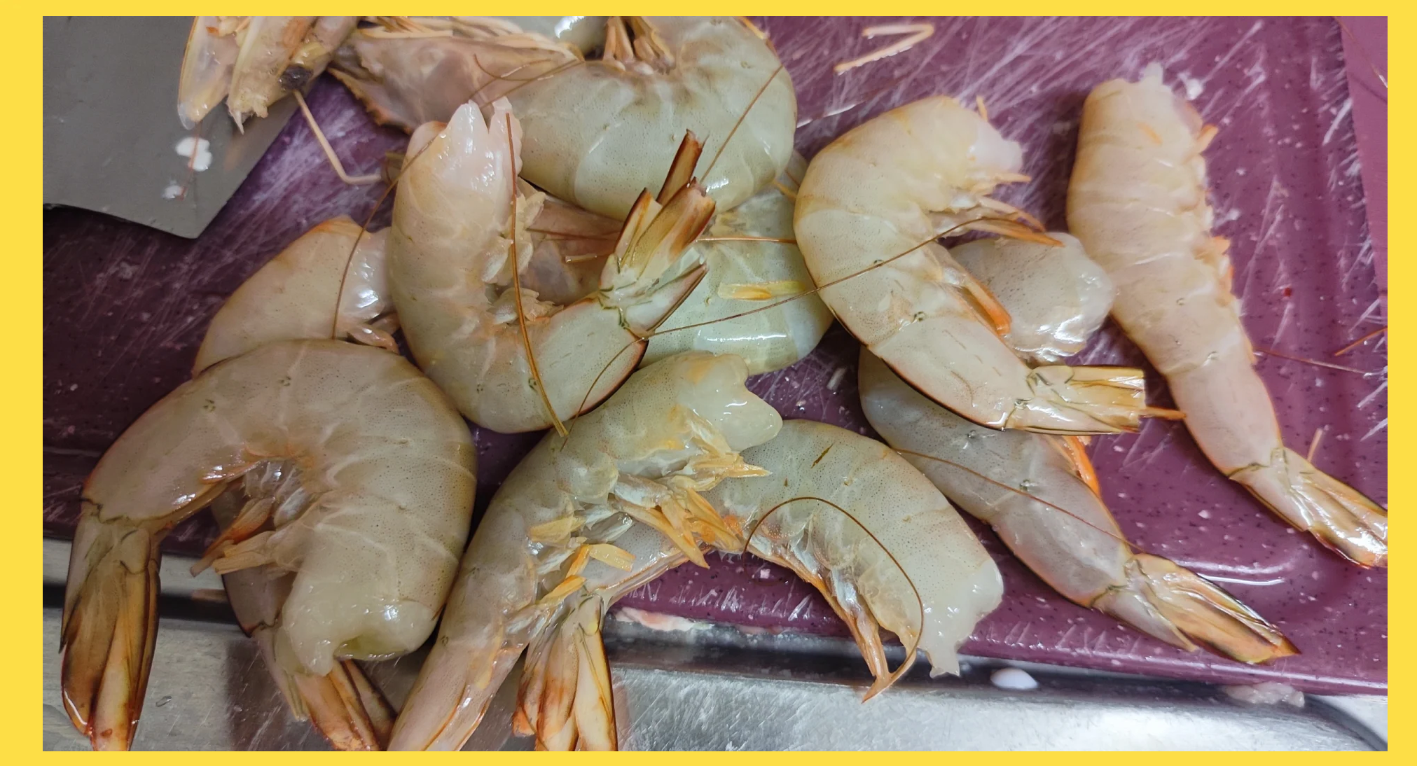 普通饵料开虾饵(鲜虾开饵) 普通饵料开虾饵(鲜虾开饵)