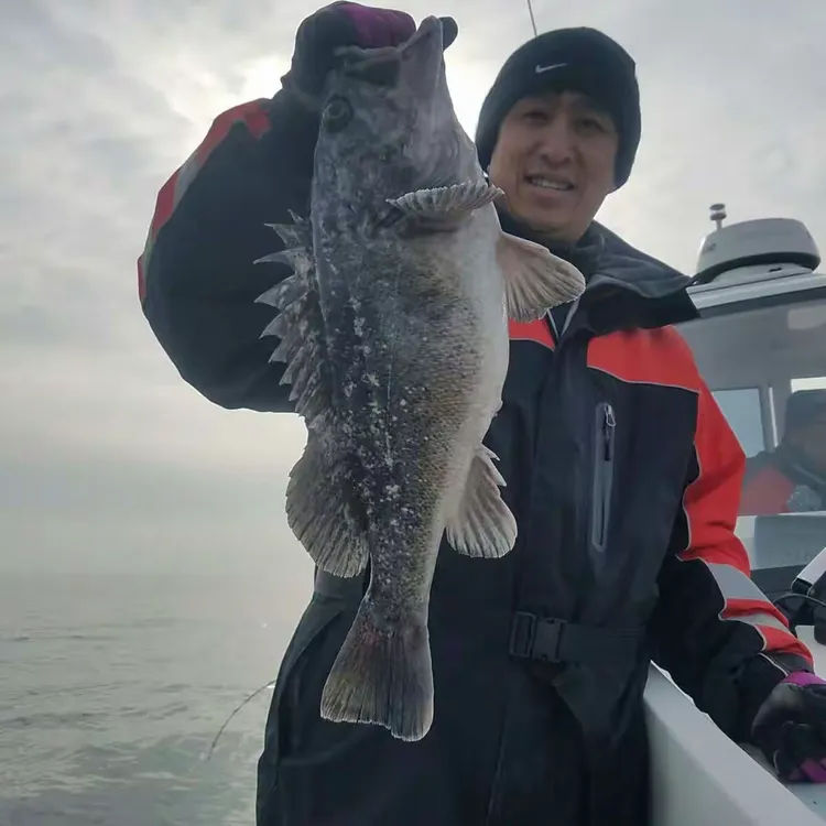 想在大连开渔具店(想在大连开渔具店赚钱吗)