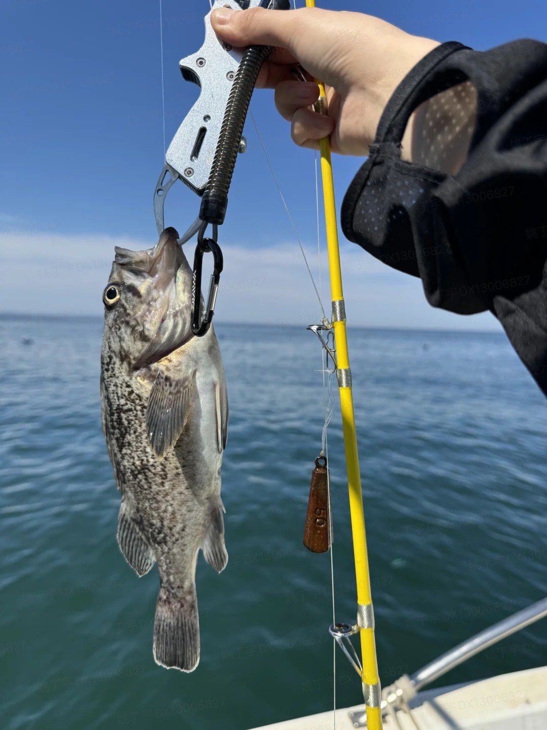 海钓的意思是什么(网络上说海钓是什么意思) 海钓的意思是什么(网络上说海钓是什么意思)