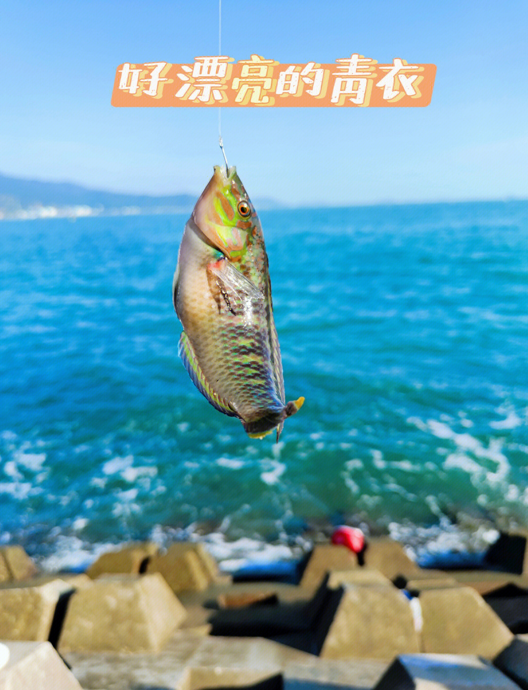 土洋海钓(海钓线组组装图解) 土洋海钓(海钓线组组装图解)