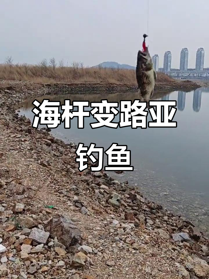 路亚使用后(路亚用完后如何收纳) 路亚使用后(路亚用完后如何收纳)