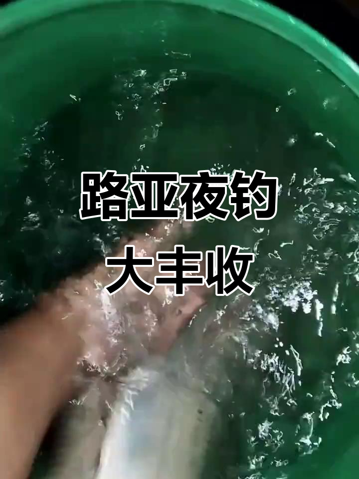 路亚晚上时间(晚上路亚几点最好) 路亚晚上时间(晚上路亚几点最好)