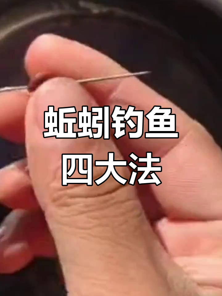 蚯钓鱼技巧(蚯蚓钓鱼技巧) 蚯钓鱼技巧(蚯蚓钓鱼技巧)