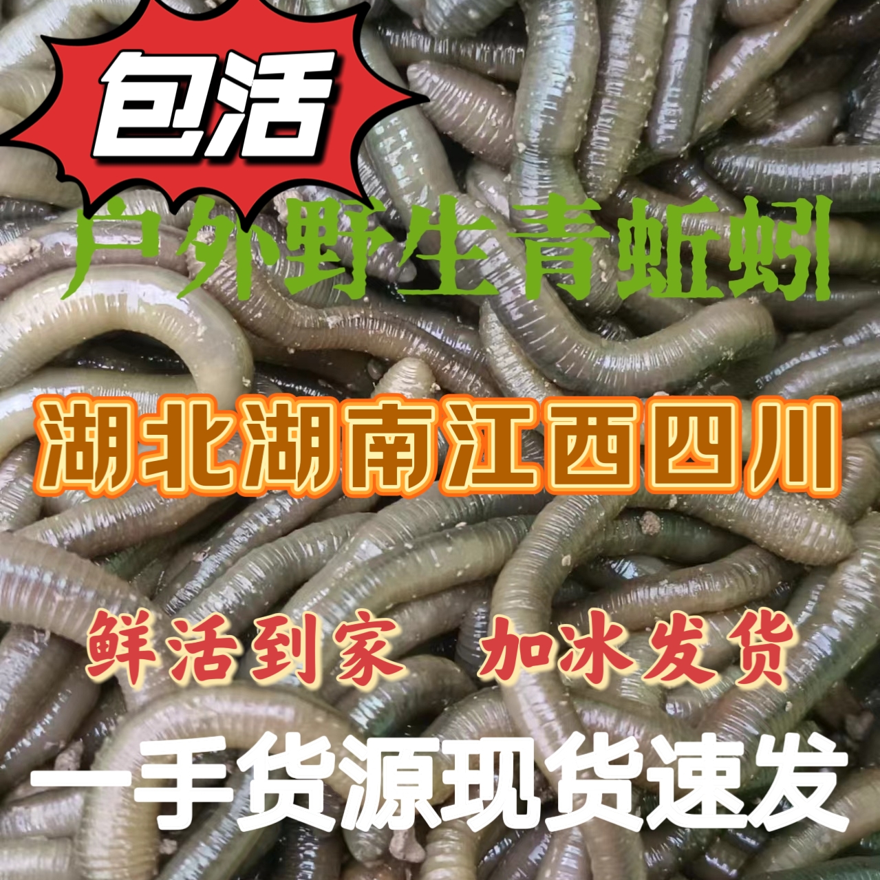 钓鱼蚯蚓好还是饵料好(野钓蚯蚓和饵料哪个好) 钓鱼蚯蚓好还是饵料好(野钓蚯蚓和饵料哪个好)