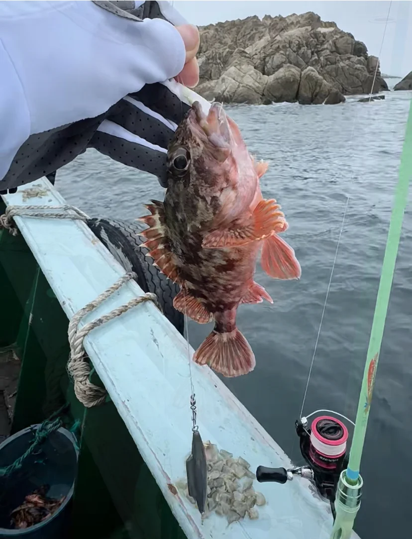 淇澳岛海钓(淇澳岛 钓鱼) 淇澳岛海钓(淇澳岛 钓鱼)
