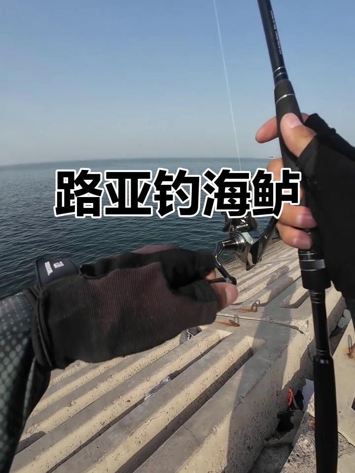 文昌海岸路亚(文昌海钓怎么收费?不钓鱼的要钱吗) 文昌海岸路亚(文昌海钓怎么收费?不钓鱼的要钱吗)