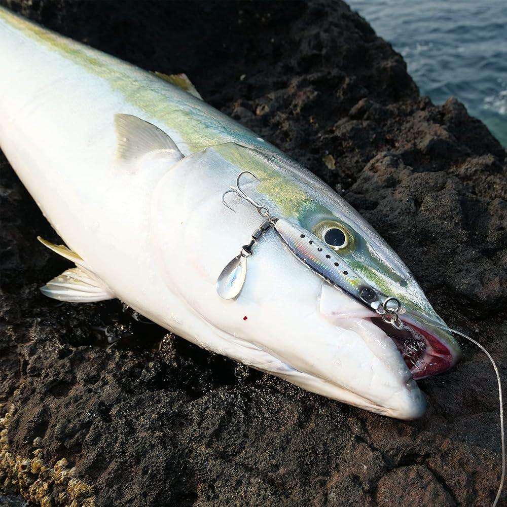 海钓用蛤子饵(海钓用啥饵) 海钓用蛤子饵(海钓用啥饵)