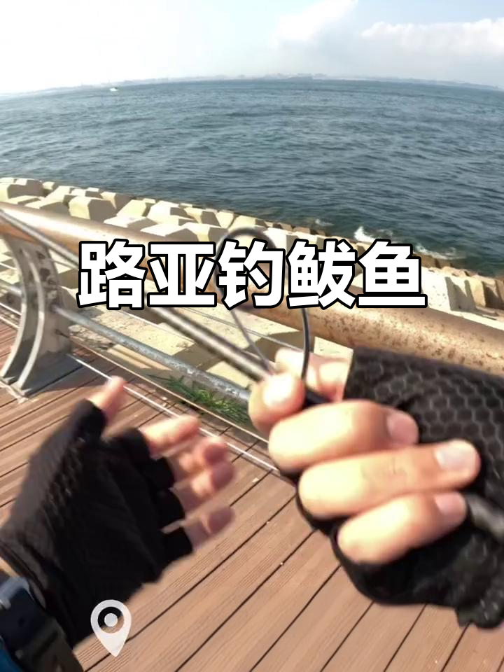 大连路亚鲅鱼(大连路亚鲅鱼用大马力几号线) 大连路亚鲅鱼(大连路亚鲅鱼用大马力几号线)