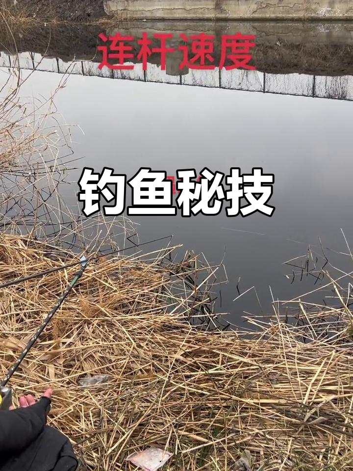钓鱼接鱼技巧(怎么钓接口鱼) 钓鱼接鱼技巧(怎么钓接口鱼)