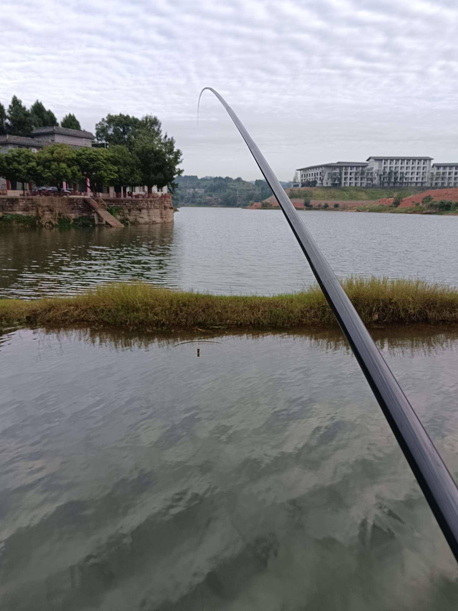 重庆24小时渔具(重庆24小时渔具店在哪里) 重庆24小时渔具(重庆24小时渔具店在哪里)