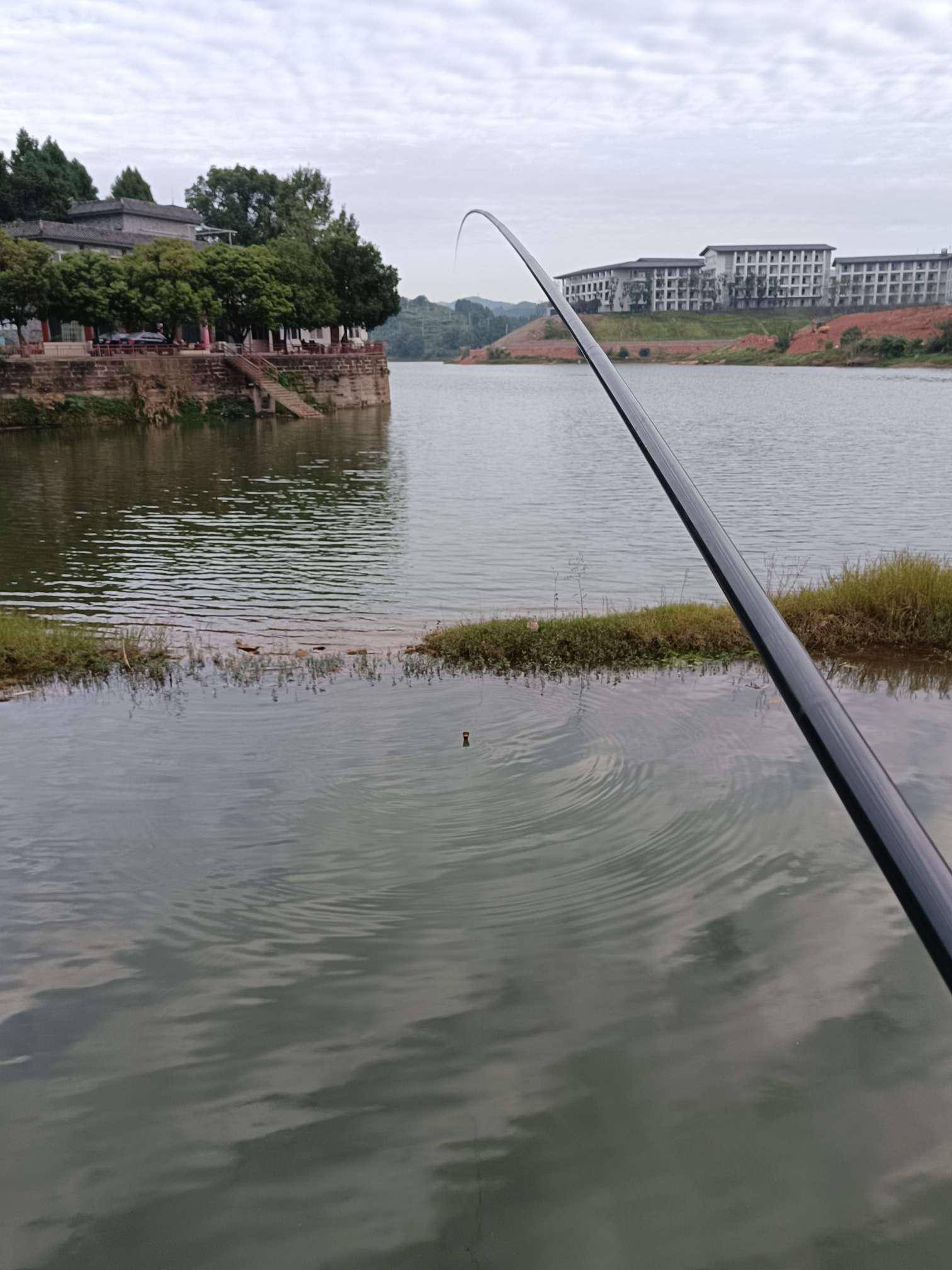 重庆24小时渔具(重庆24小时渔具店在哪里) 重庆24小时渔具(重庆24小时渔具店在哪里)