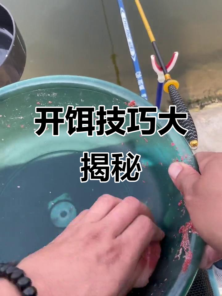 开饵料技巧视频教程(如何开饵料视频教程)