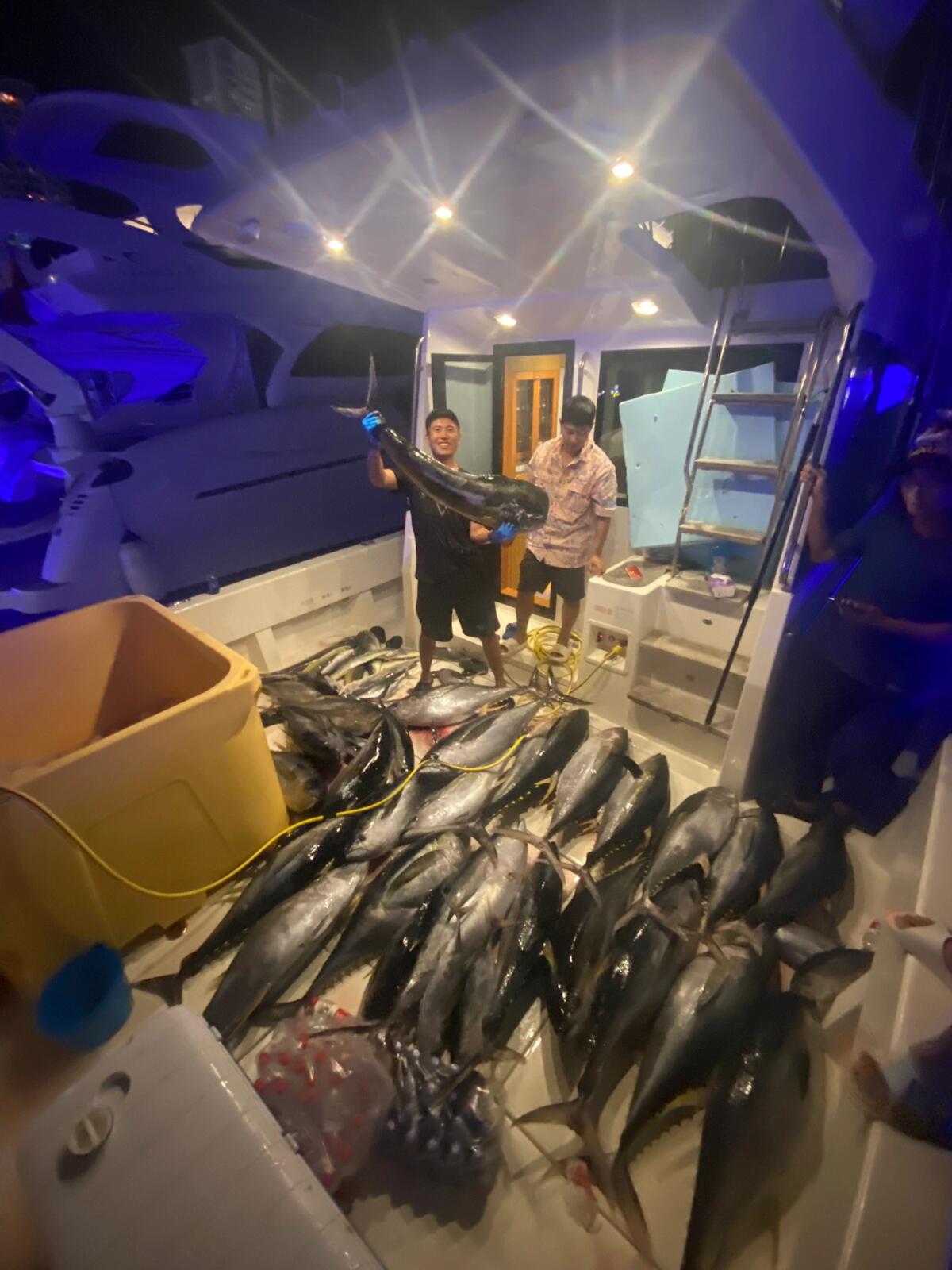 金枪鱼海钓艇(海钓蓝鳍金枪鱼视频完整版)