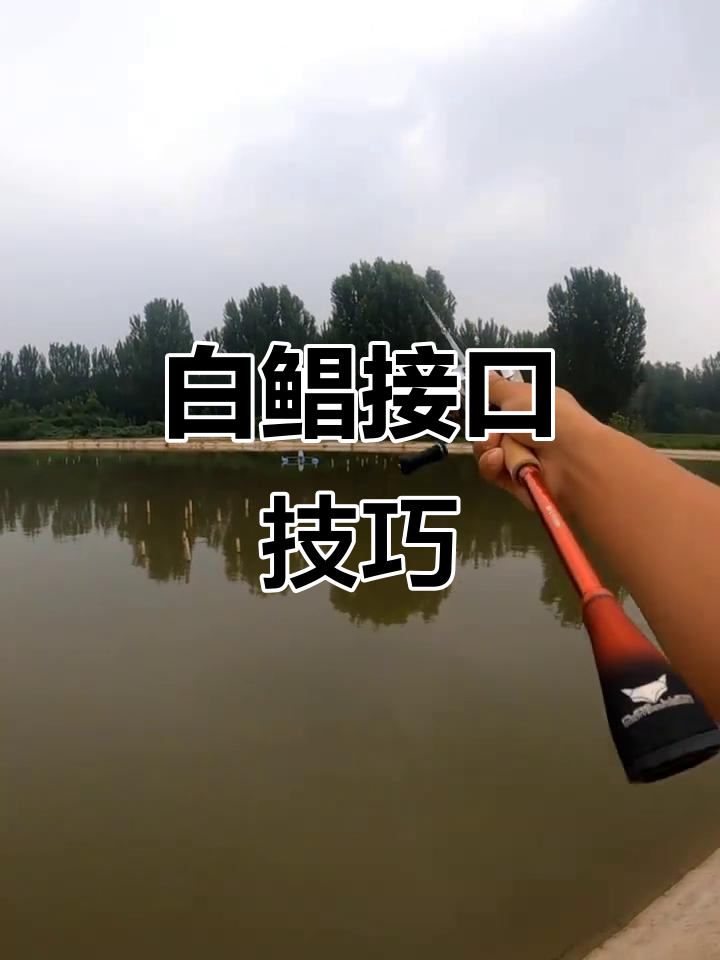 钓白鲳技巧(钓白鲳鱼的技巧)