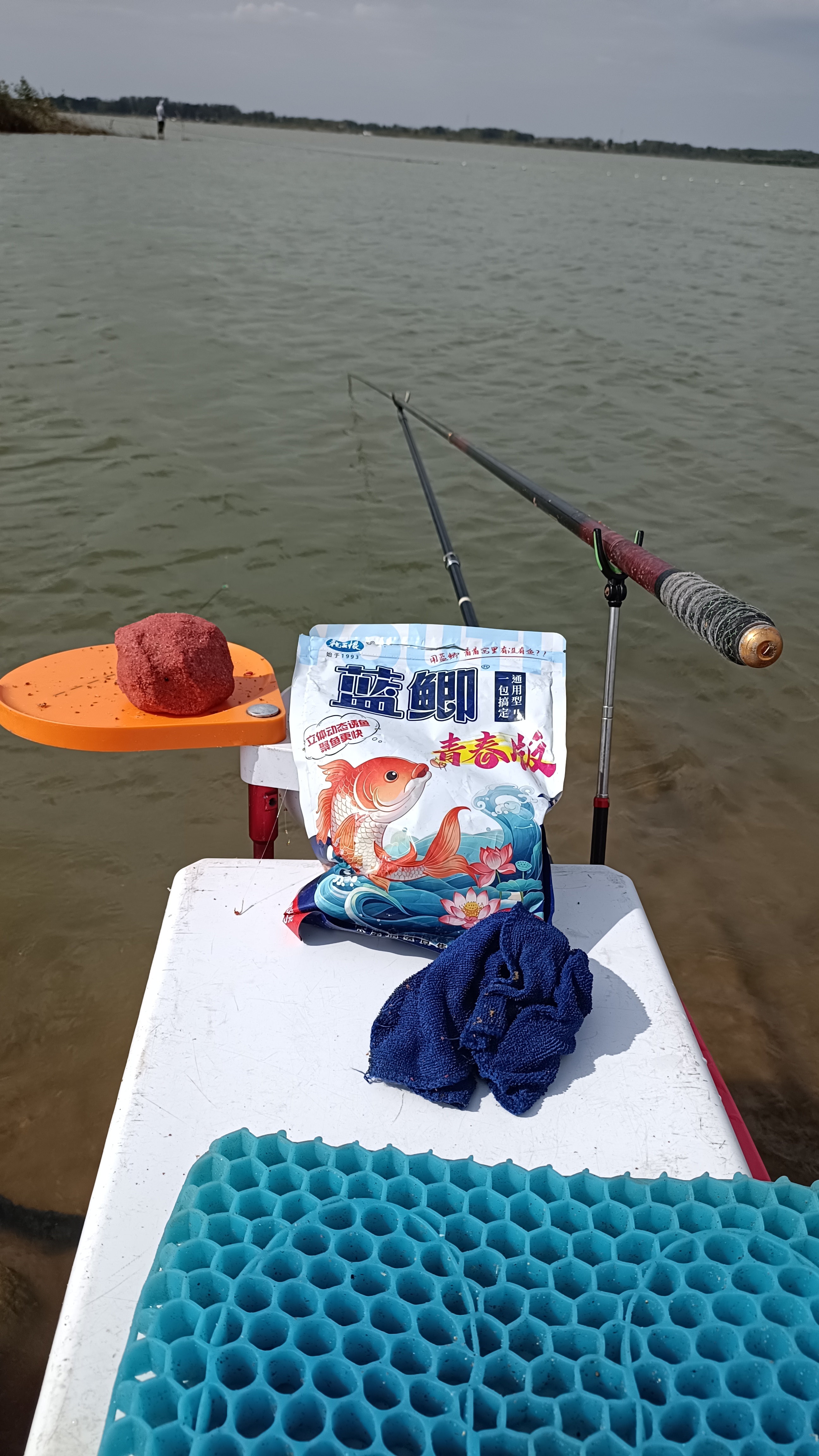 惊蛰之后钓鲫鱼技巧(惊蛰过后钓鱼饵料搭配技巧)