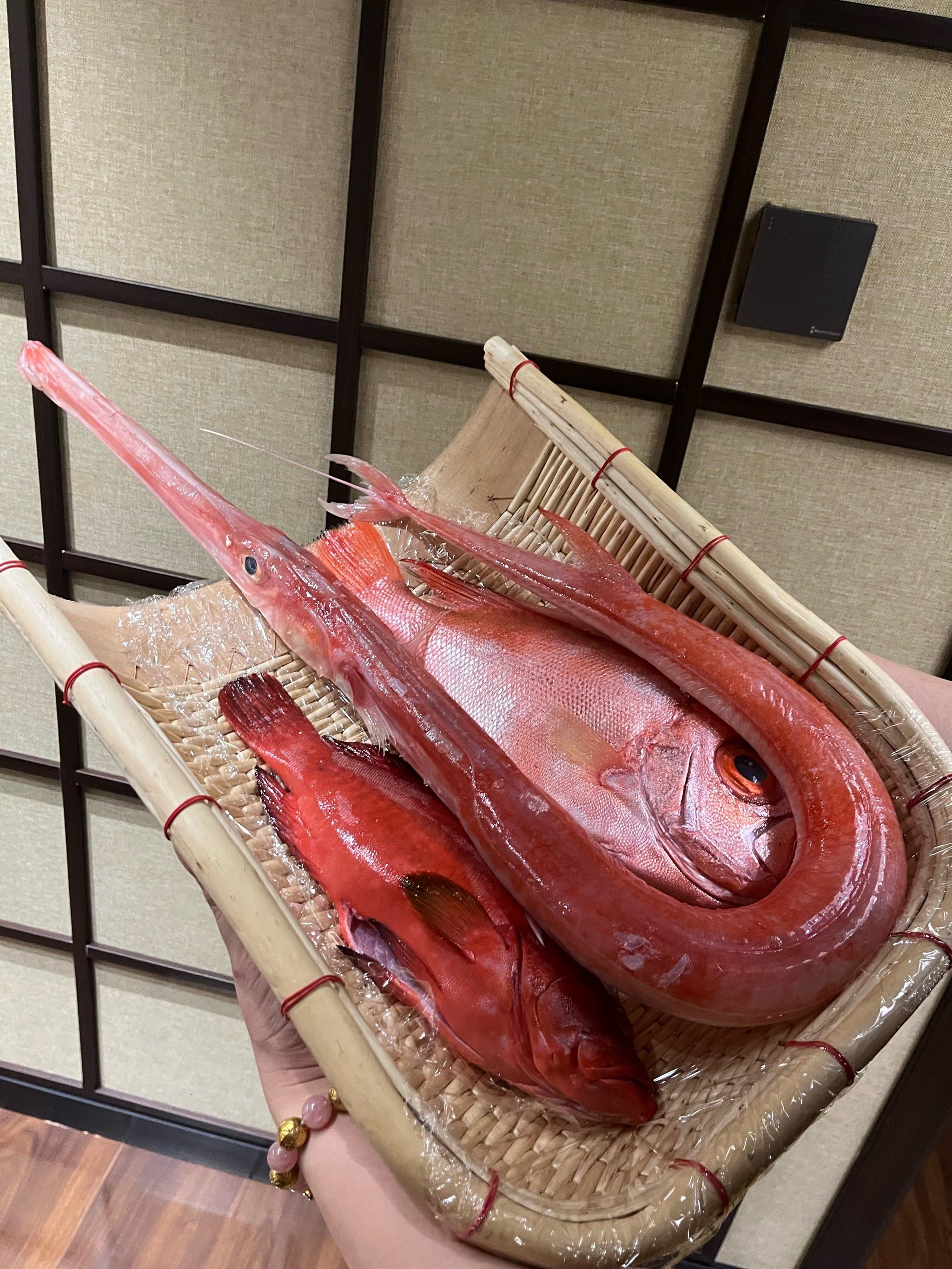 大连海钓子目鱼技巧(鳎目鱼8种最佳吃法) 大连海钓子目鱼技巧(鳎目鱼8种最佳吃法)