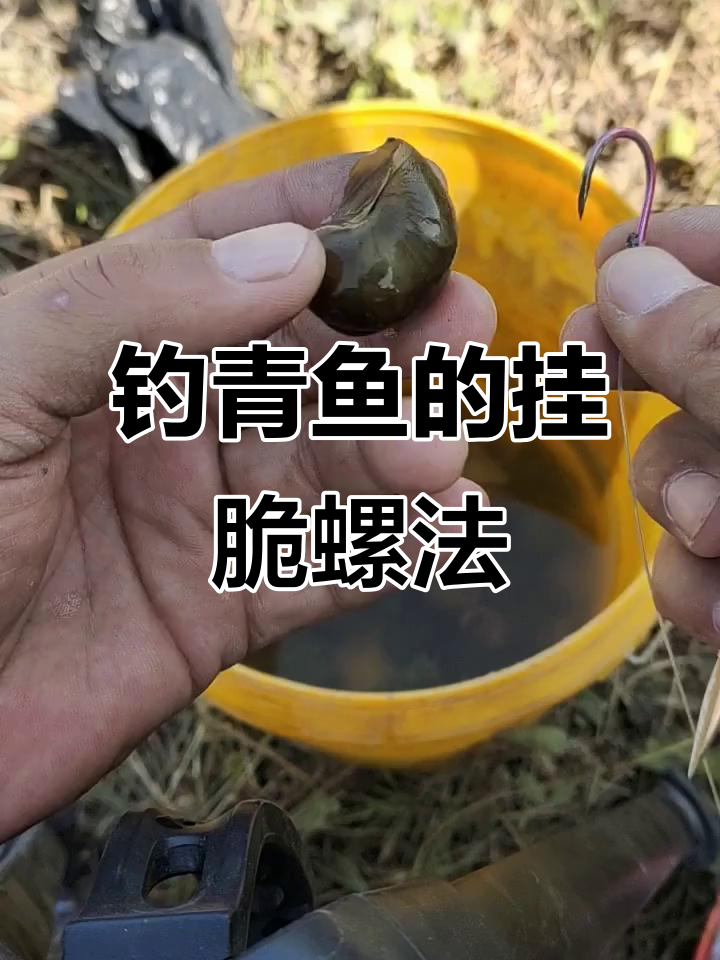 南方初夏钓青鱼技巧(南方青鱼3月份好钓吗) 南方初夏钓青鱼技巧(南方青鱼3月份好钓吗)