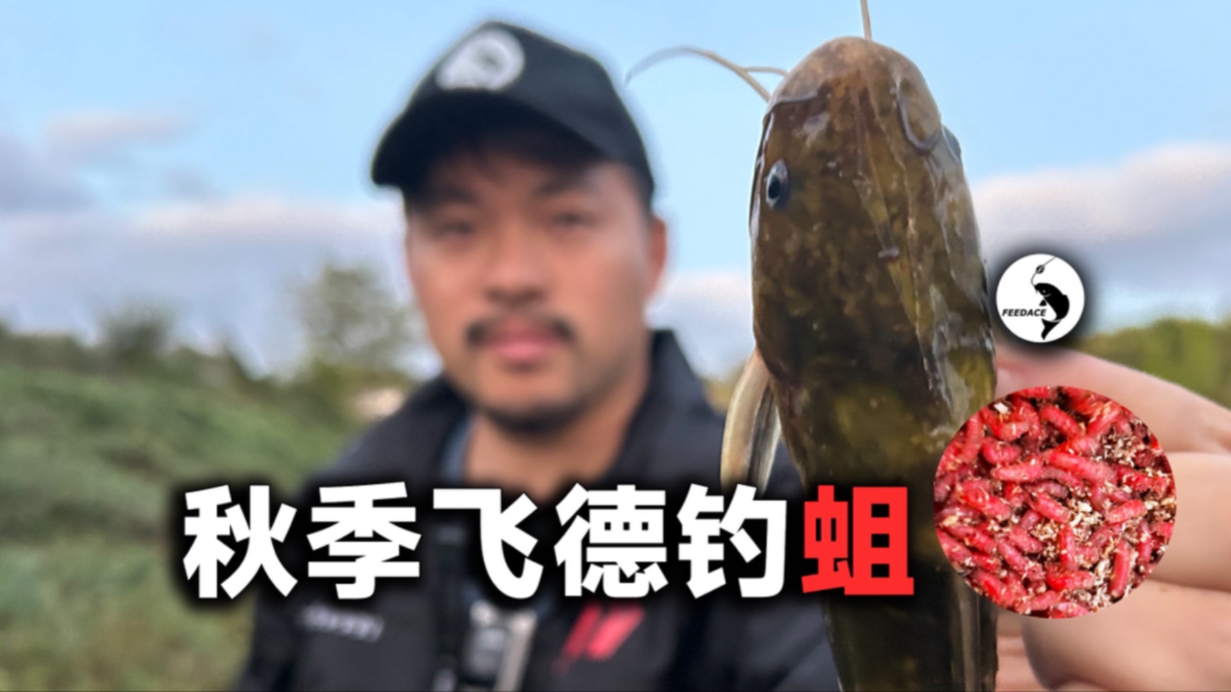 蛆蛆钓鱼技巧(用蛆钓什么鱼效果好?)