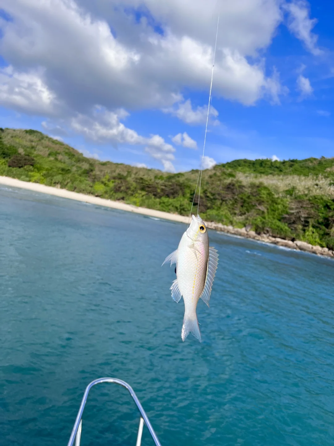 如东海钓(如东海钓租船)