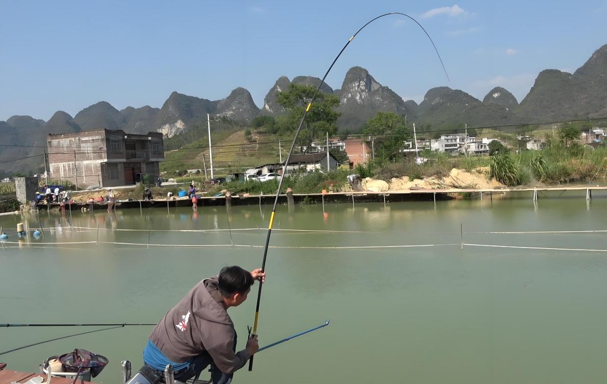 黑坑早春钓鱼技巧(春季黑坑钓鱼的绝佳钓位)