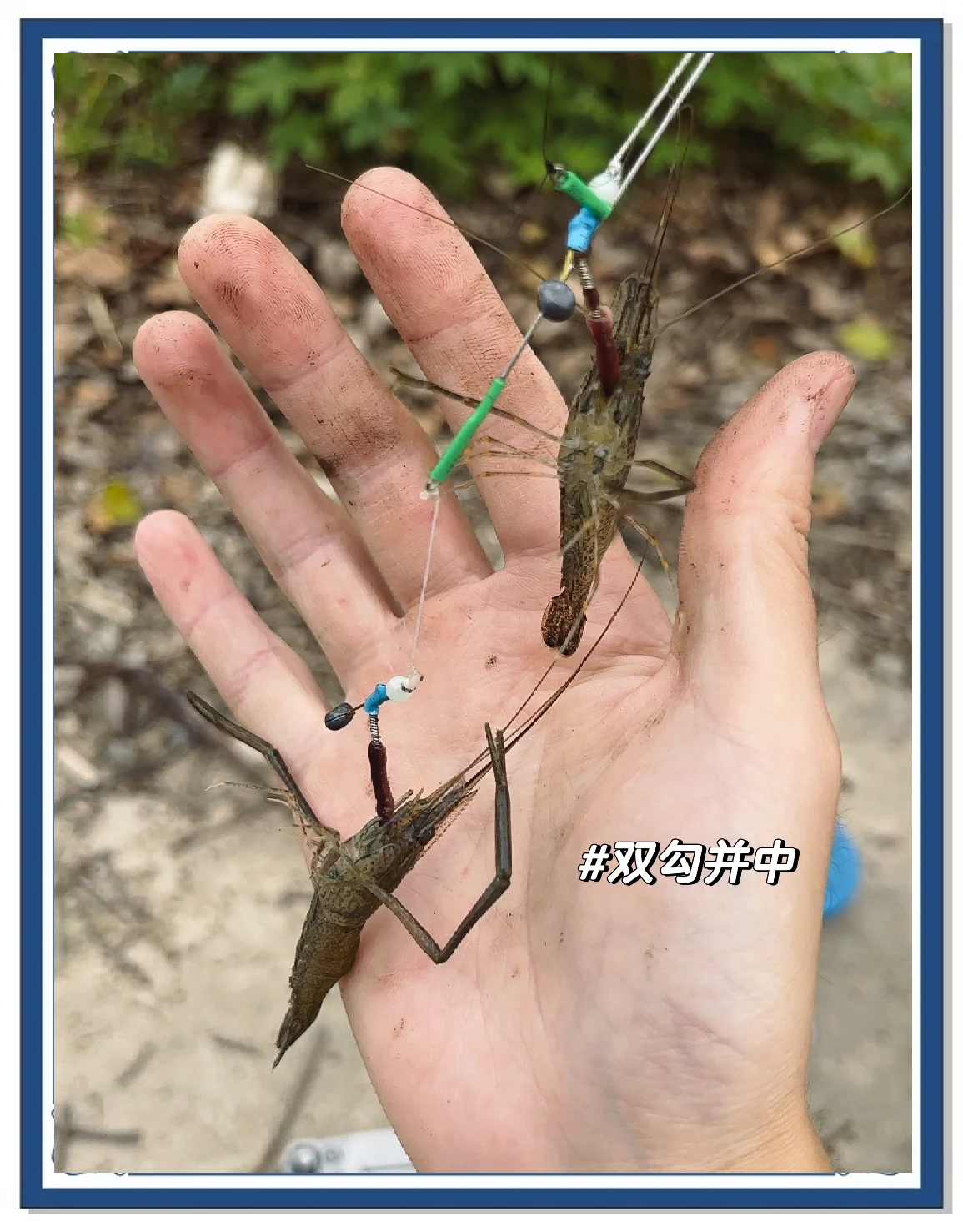 伐竿配饵料(伐竿用什么鱼线)