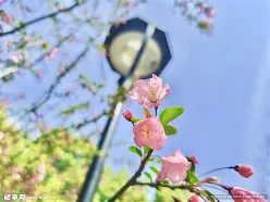 春泰渔具官网(青岛渔泰进出口有限公司)